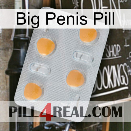 Big Penis Pill 24